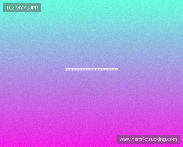 利用网络娱乐方式实现世界杯赛事的全景直播与多角度切换，满足不同观赛偏好